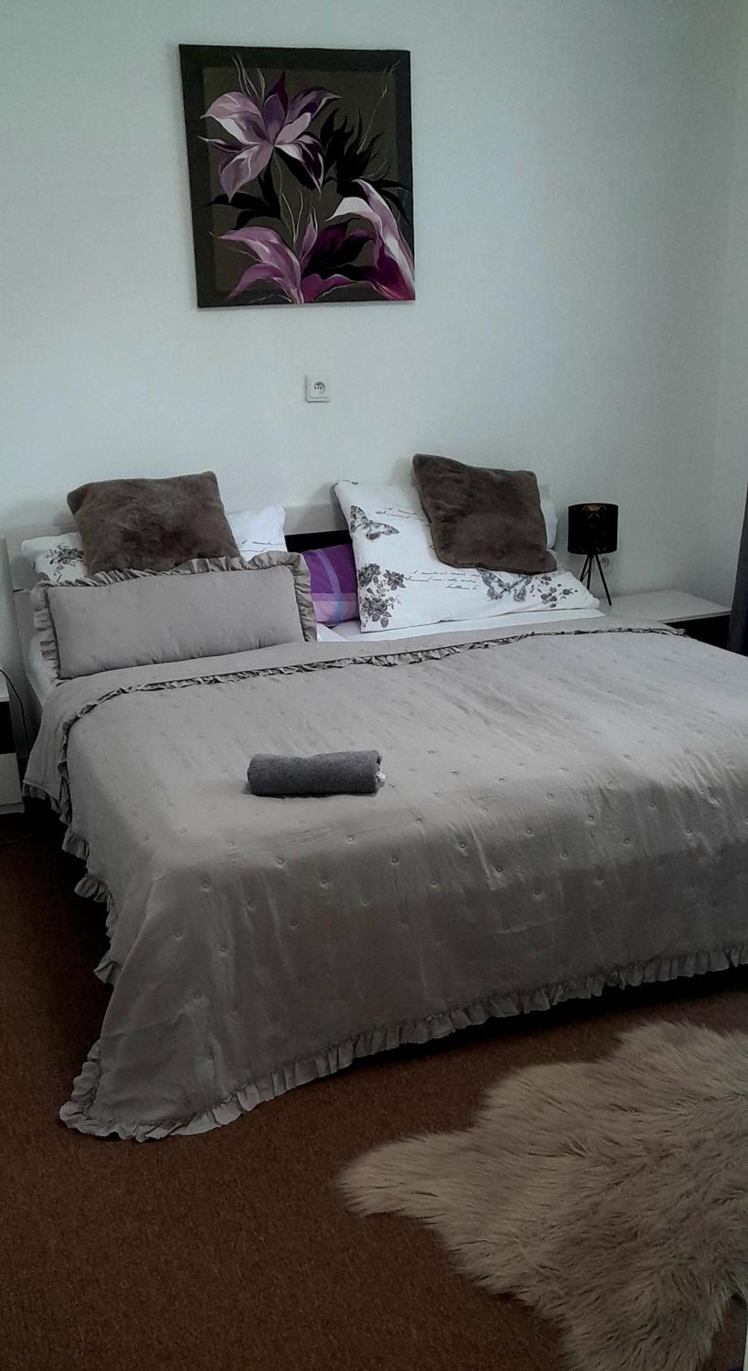 Ubytovanie Dana Piest'any Chambre photo
